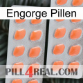 Engorge Pills 27